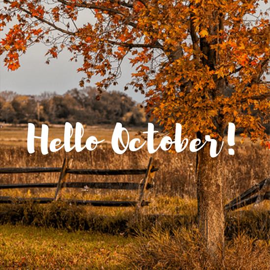 HELLO OCTOBER - Hello-October.png
